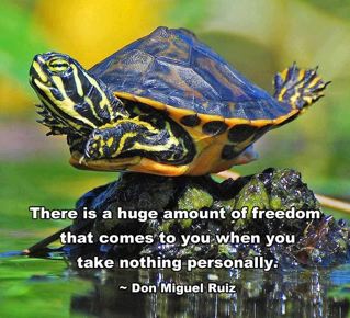 There is a huge amount of freedom that comes to you when you take nothing personally. ~Don Miguel Ruiz